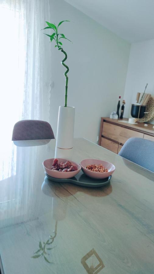 Apartman Jelena ポドストラナ エクステリア 写真